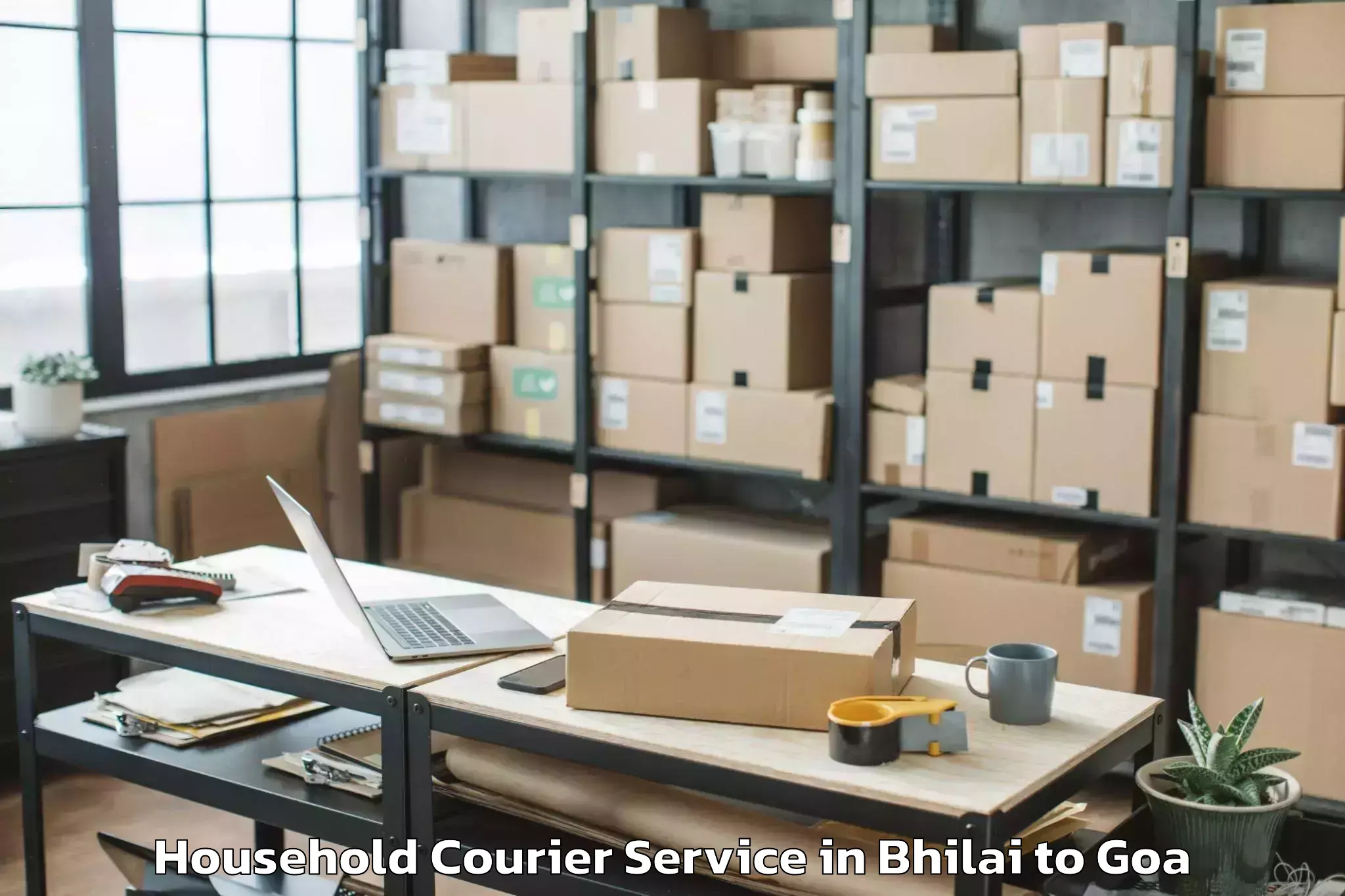 Professional Bhilai to Aldona Household Courier